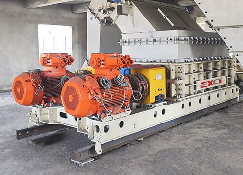 Primary Sizer Crusher best