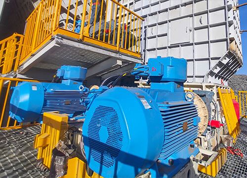 Primary Sizer price